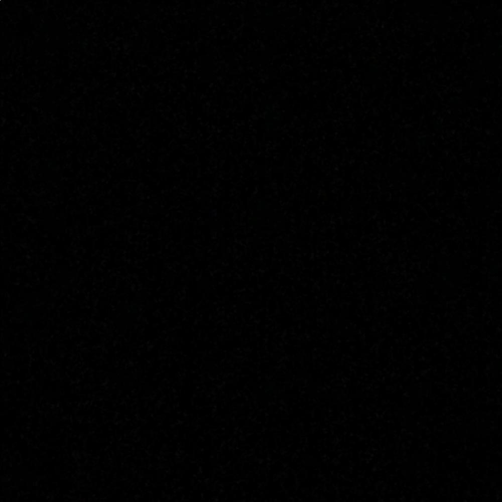 Meet your Posher, Ginger